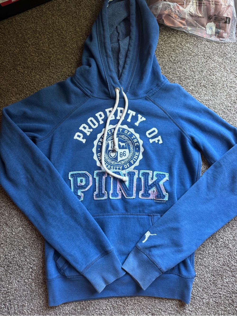 PINK Blue Logo Hoodie - PINK University Pullover